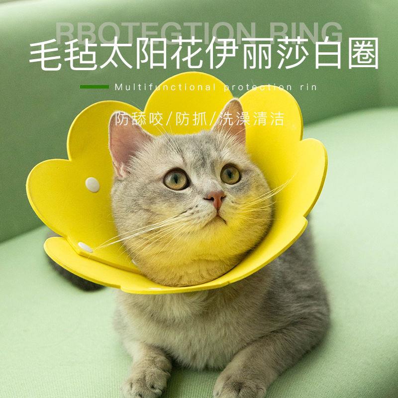 猫咪伊丽莎白圈太阳花项圈毛毡头套轻薄透气脖圈宠物防舔舐防咬圈
