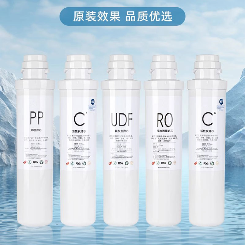 净水器纯水机卡接滤芯HRO1008/1009/1H61/5070/50-5D/5009/1009