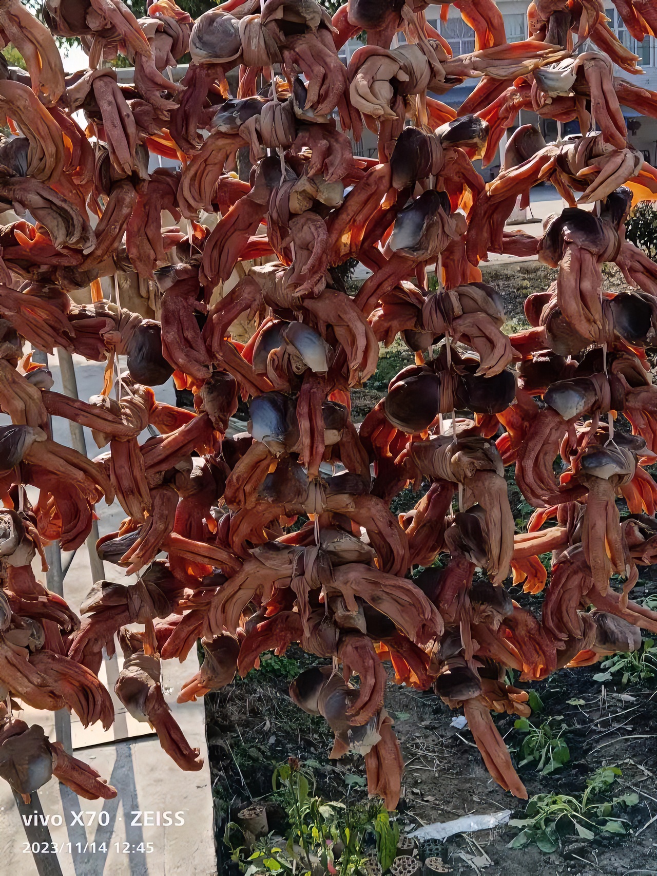 皖西特产咸鹅胗爪农家散养手工腌制五副起拍家乡特产食用制作