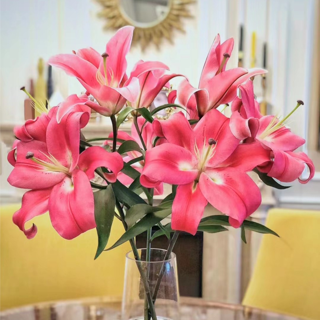 【福袋专用】任意花一扎鲜花花卉