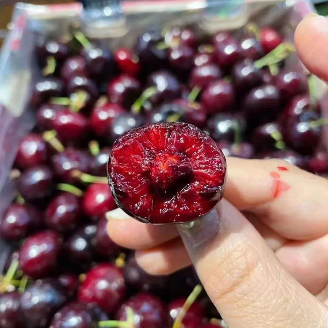 【散装】智利进口海运桑提娜车厘子内附果径卡【4JD】