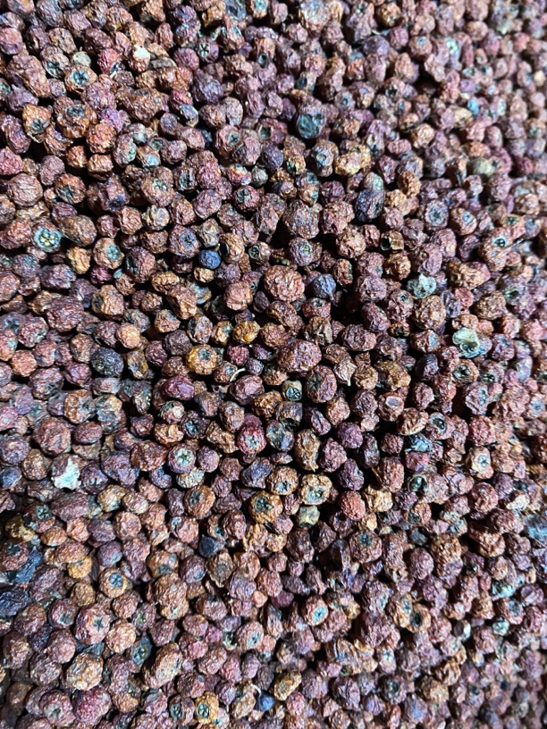 【紫衫】果净含量250g-500g