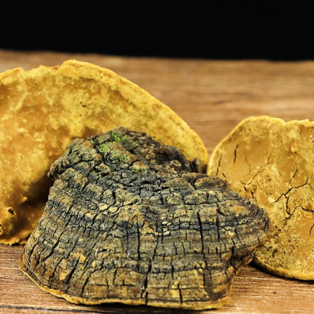 【桑黄】净含量250g-1500g