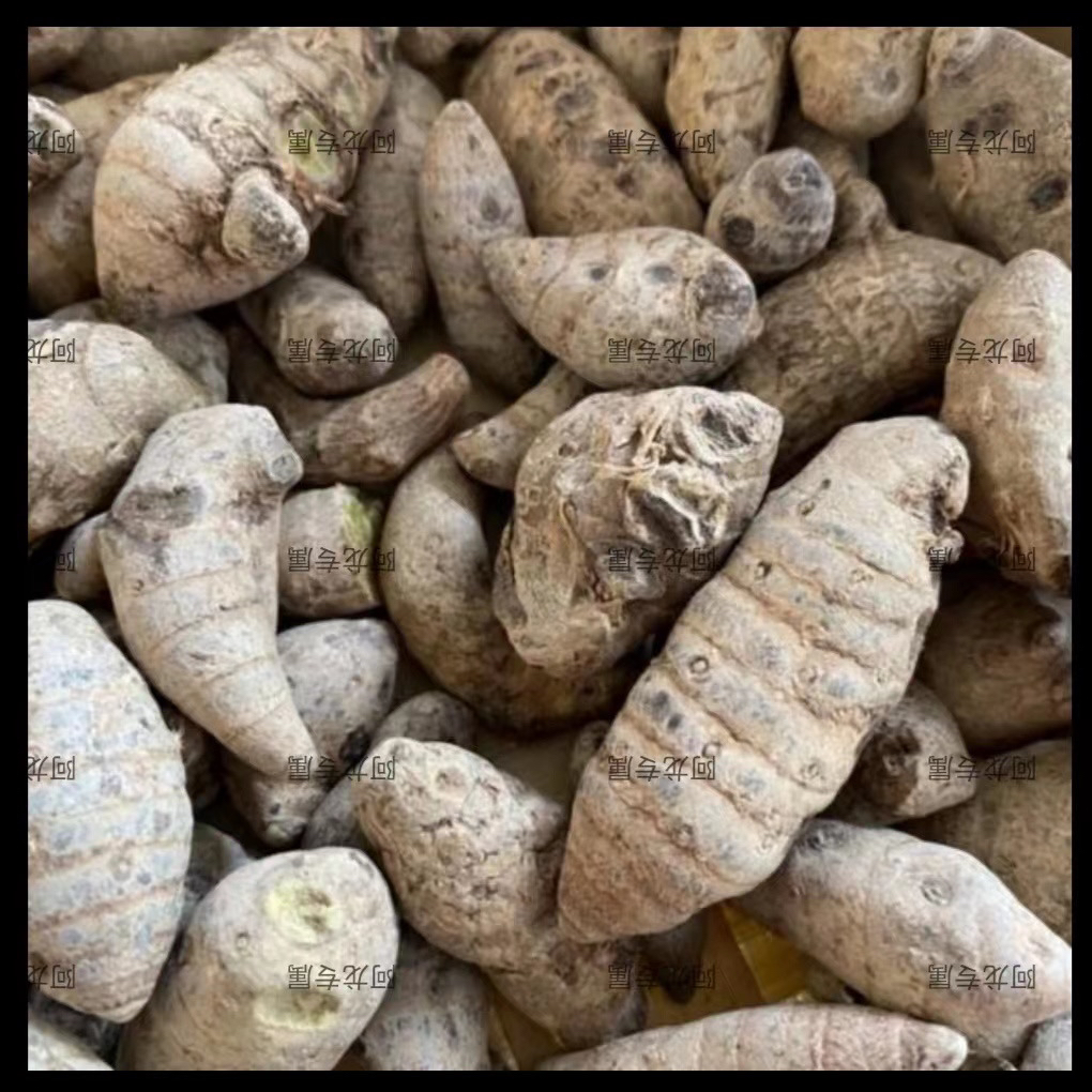 【s土特产雪三】/七