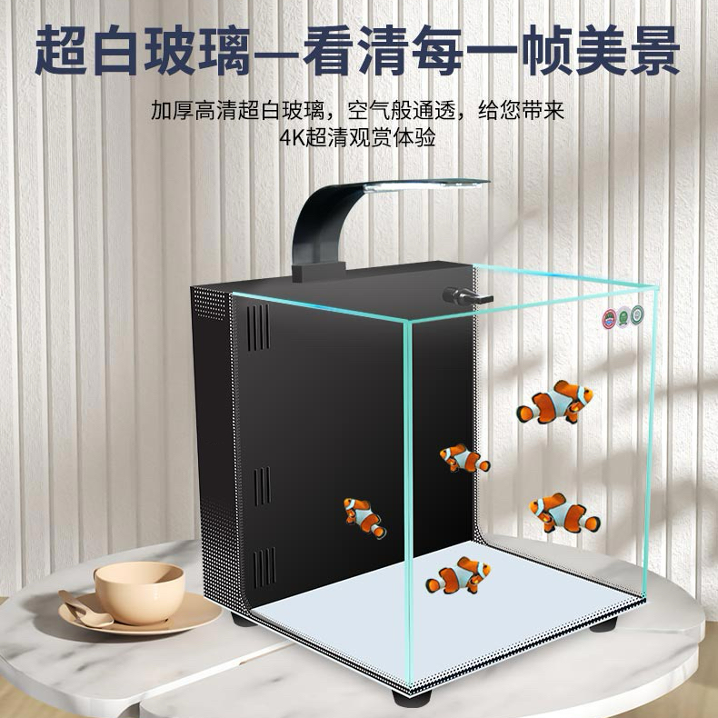 背滤海水缸珊瑚缸新手中小型桌面方缸超白玻璃鱼缸生态鱼缸过滤
