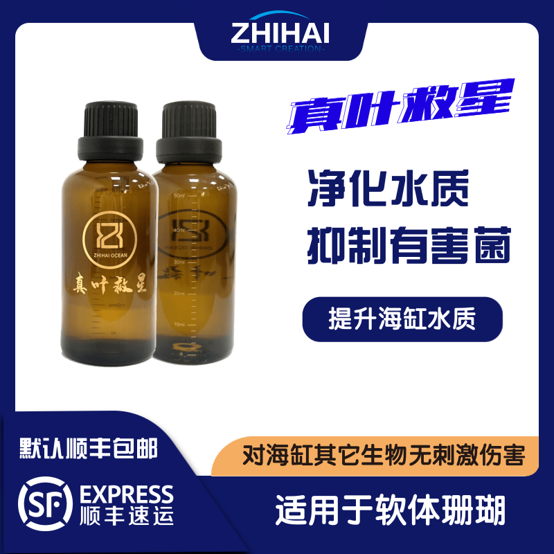 智海针叶救星珊瑚细菌感染布朗冻缸杀菌火柴头细菌感染针叶类细菌
