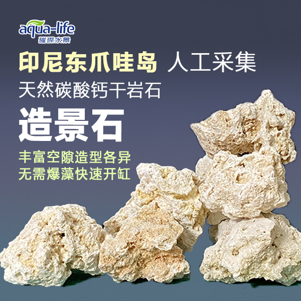 印尼爪哇石海缸造景石干岩石免爆藻快速开缸人造天然海缸造型水族