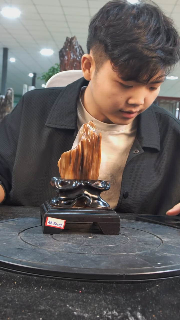 【闪购商品】硅化玉珠宝奇石未镶嵌1