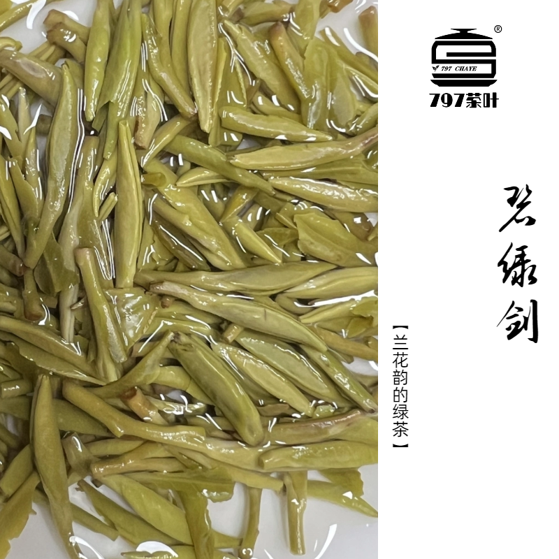 【兰花韵的绿茶】碧玉剑   797私房茶