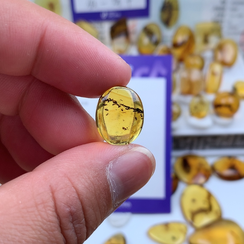 【闪购商品】琥珀裸石未镶嵌