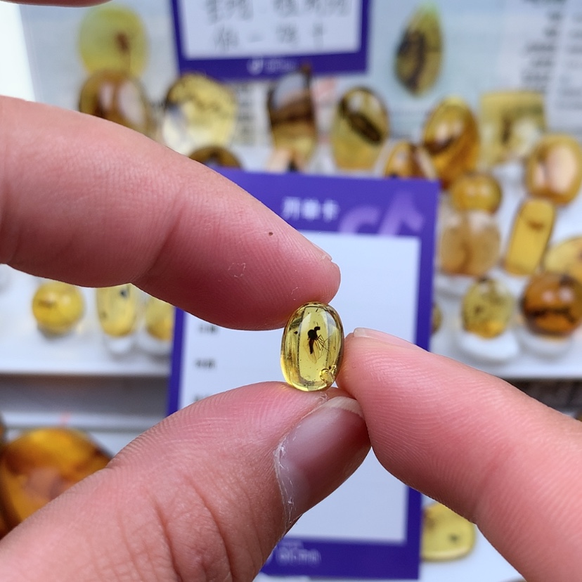 【闪购商品】琥珀裸石未镶嵌