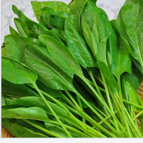 【香橙源优选】菠菜 250g（蔬菜）