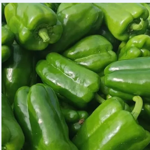 【香橙源优选】青椒 约1斤 辣椒品类（蔬菜）