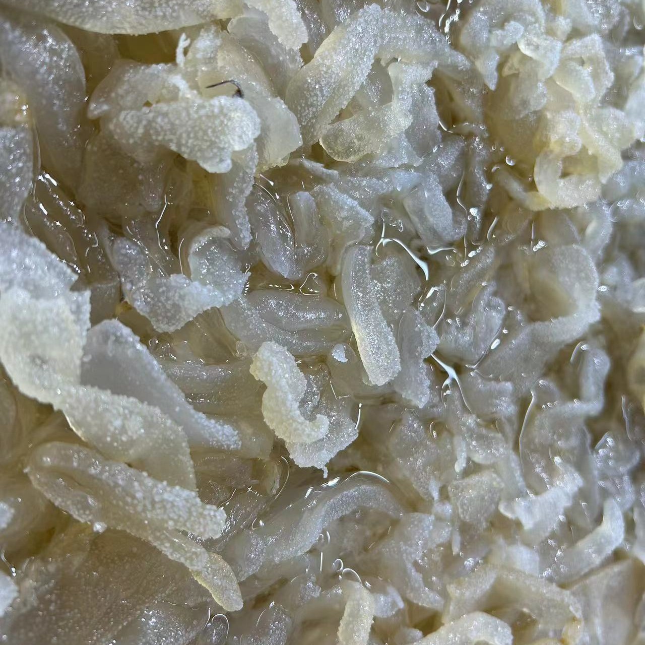 海蜇丝1斤（海鲜）