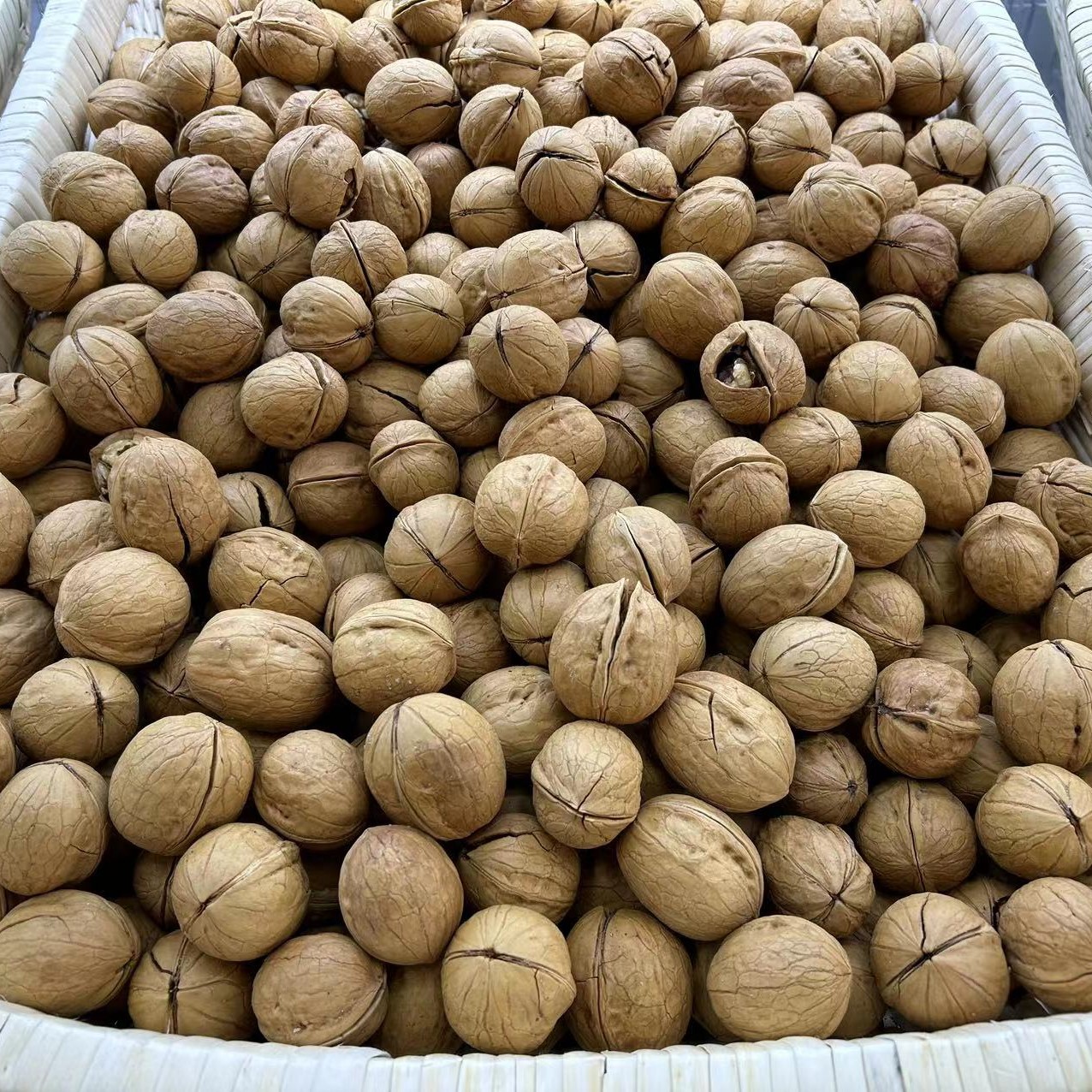 【香橙源优选】185生核桃 1斤（干果）