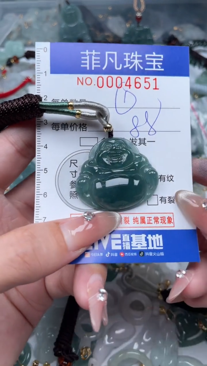 【闪购商品】翡翠颈饰未镶嵌000...4651