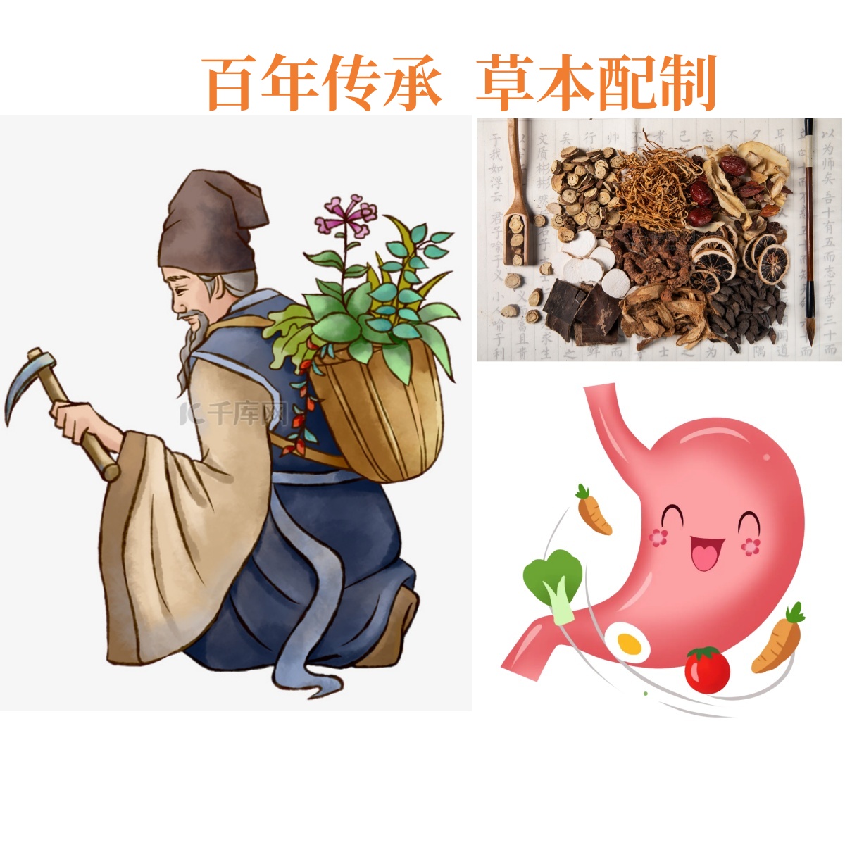 【苗家古方】纯草本植物根茎磨粉