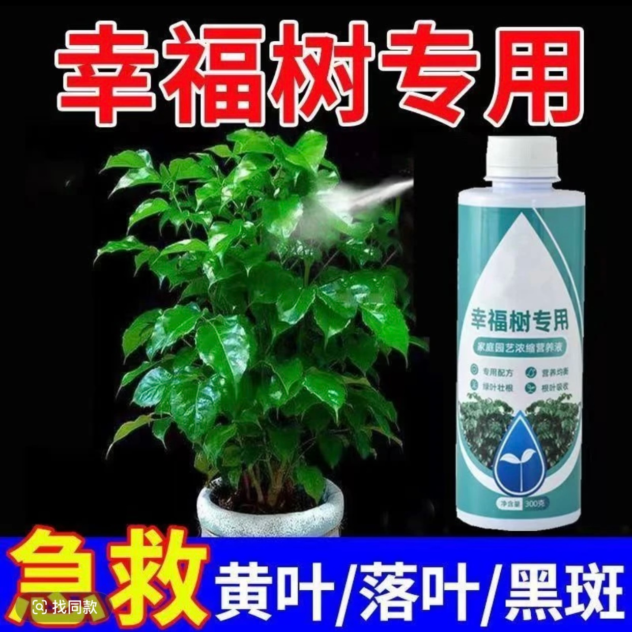 【抢！5瓶装】幸福树专用肥营养液室内盆栽绿植防黄叶掉叶水溶肥料