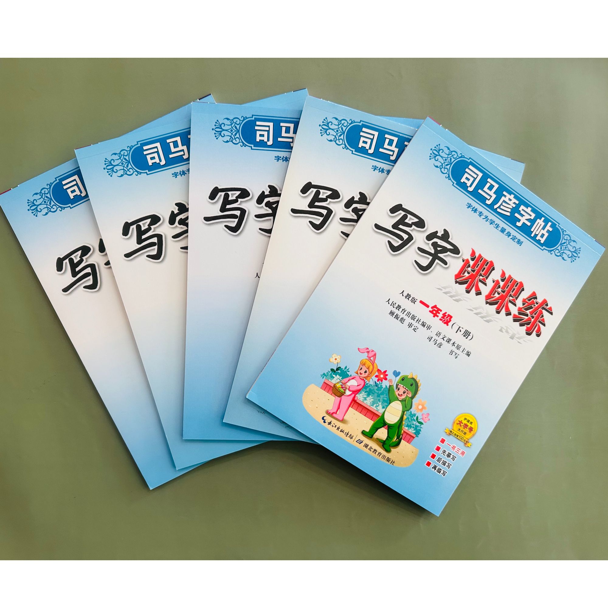 「洛斯推荐」教材同步写字课课练 1-6年级下册 从拉萨发货