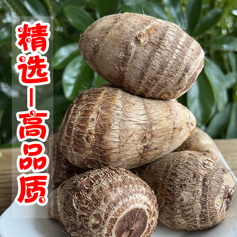 2025年当季新鲜现挖毛芋头山东牛奶小芋头子农家软糯芋艿芋仔蔬菜