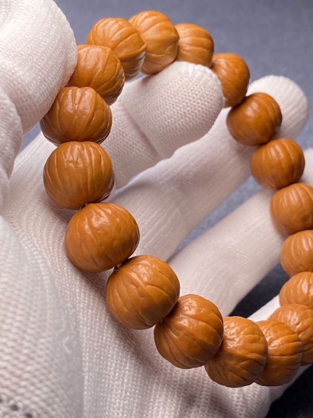 一代老树王者双歧南瓜