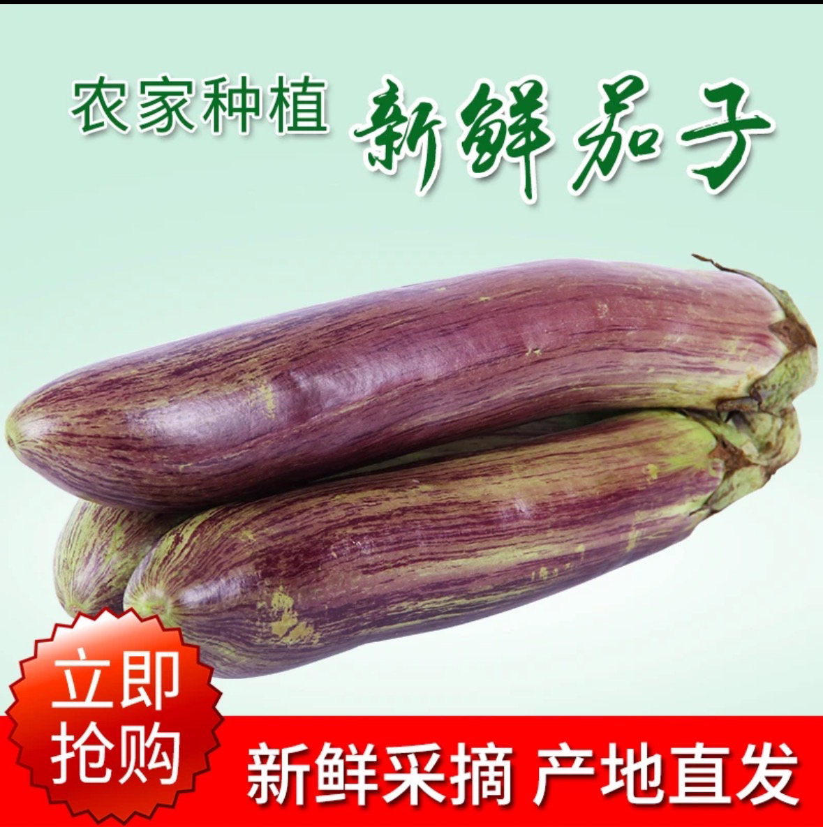 东北花茄子冰川茄子酱茄子新鲜嫩东北蔬菜