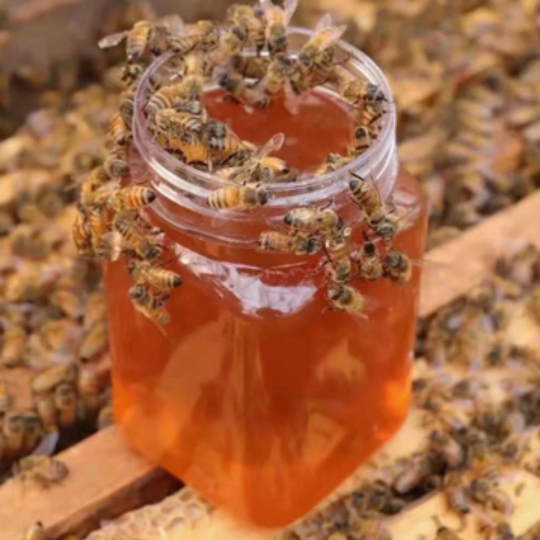 【李支书精选】马关特产野生百花蜜冬蜜蜂蜜精品