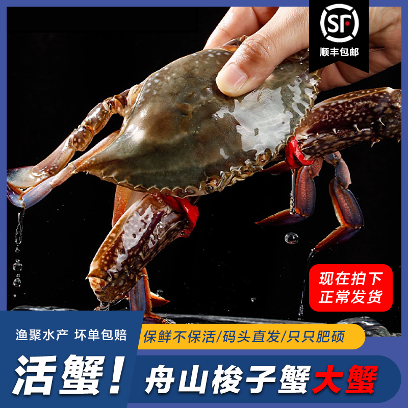 舟山新鲜梭子蟹活发 5-8两/只 3斤装 顺丰 次日达【保鲜不保活】