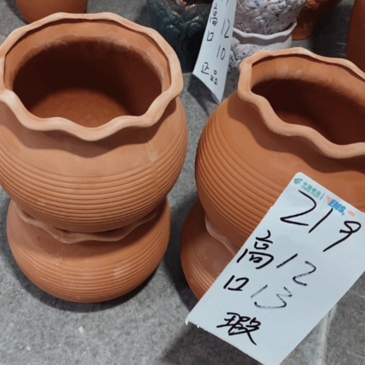 【闪购商品】红陶20cm(含)-50cm(含)219