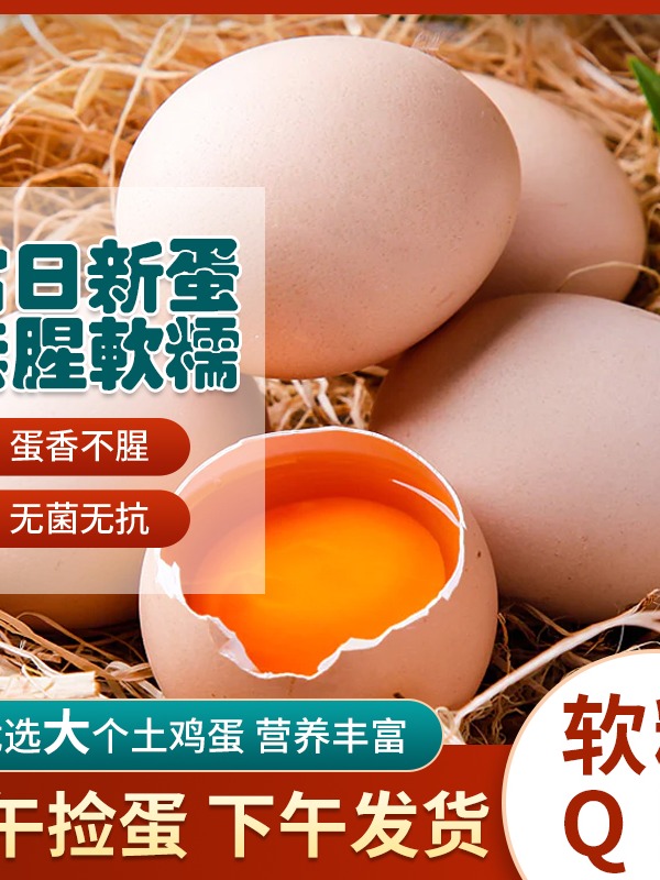 【40枚精品粉壳老母鸡蛋】高山散养纯粮食喂养宝宝蛋营养土鸡蛋