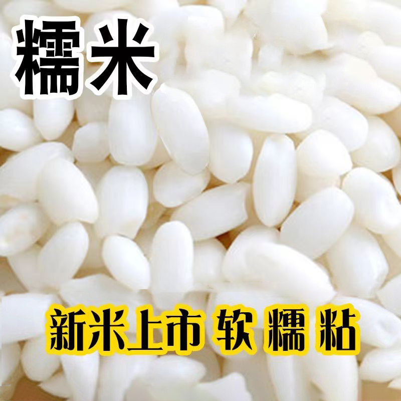 软糯粘糯米东北江米粘糯米圆粒白糯米粘大米包粽子酿酒糯米袋装