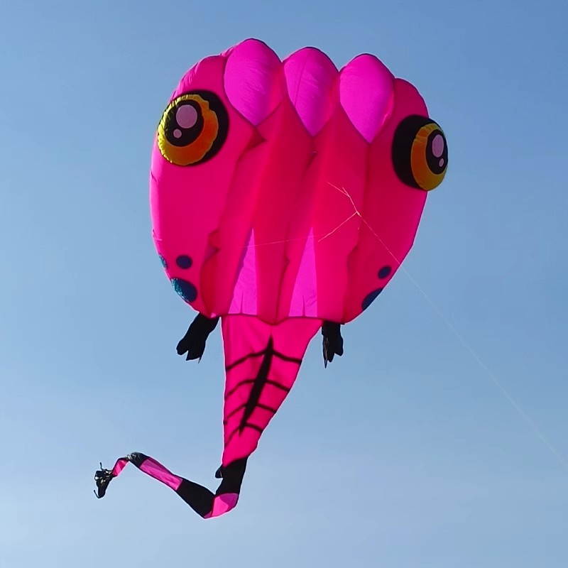 青州马老四风筝高档参赛级蝌蚪易飞特大软体立体专业品牌大风筝