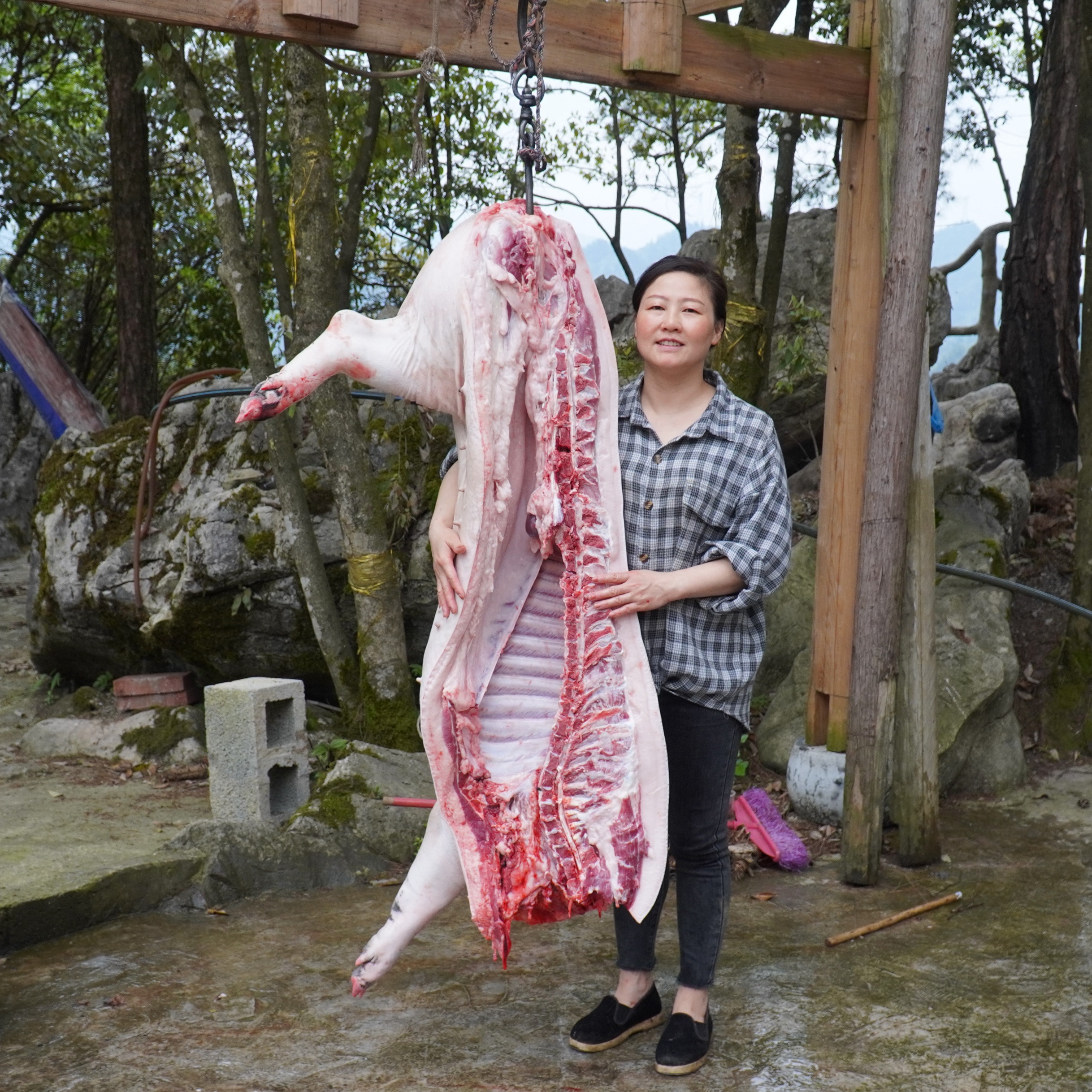 【现称现选】农家粮食喂养土猪肉