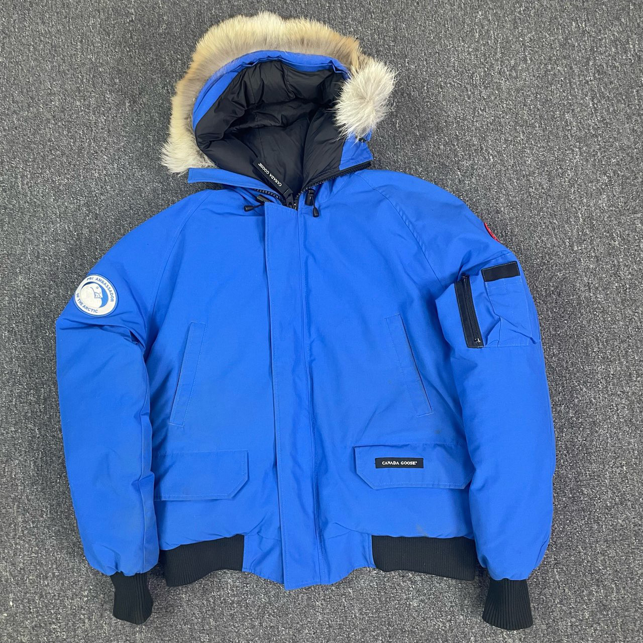 Canada Goose/加拿大鹅 PBI北极熊联名 L码 /99新 /Sl000679