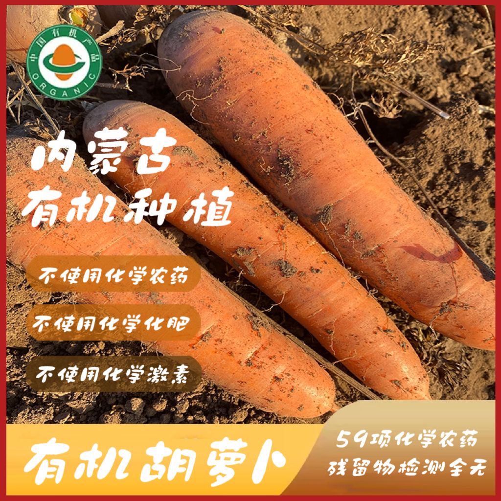 内蒙古有机胡萝卜5斤带泥现挖现发非转基因