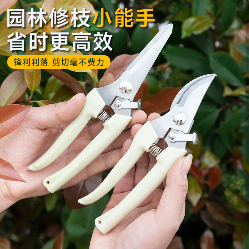花艺修花剪刀剪树枝果树剪刀花卉枝嫁剪园艺剪刀工具园林修枝剪