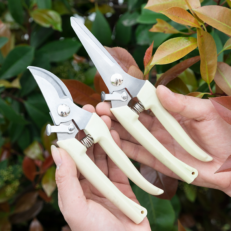 花艺修花剪刀剪树枝果树剪刀花卉枝嫁剪园艺剪刀工具园林修枝剪