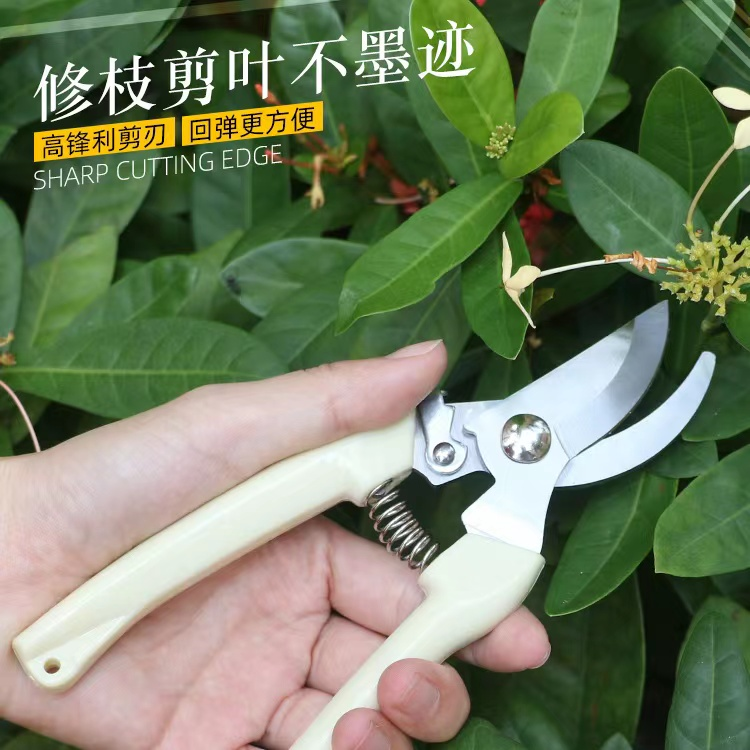 植物修枝剪刀不锈钢园艺花剪家用修花剪刀果树多功能小剪刀