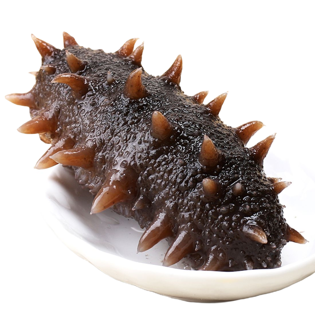 鲜食海参3-20头随机发