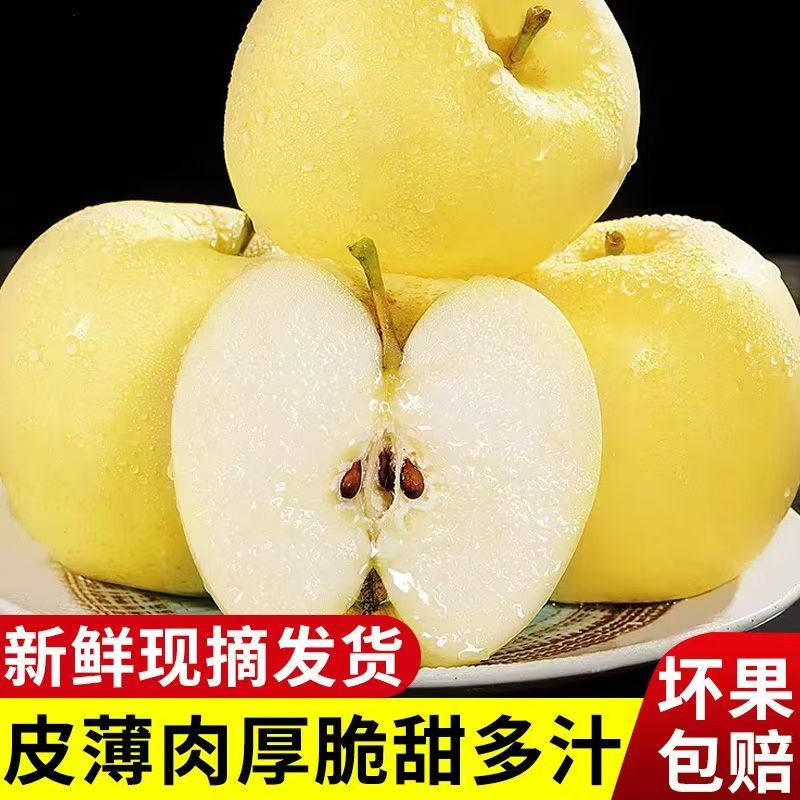 2025年沂蒙山新鲜黄金奶油富士苹果丑苹果现摘现发孕妇水果整箱发