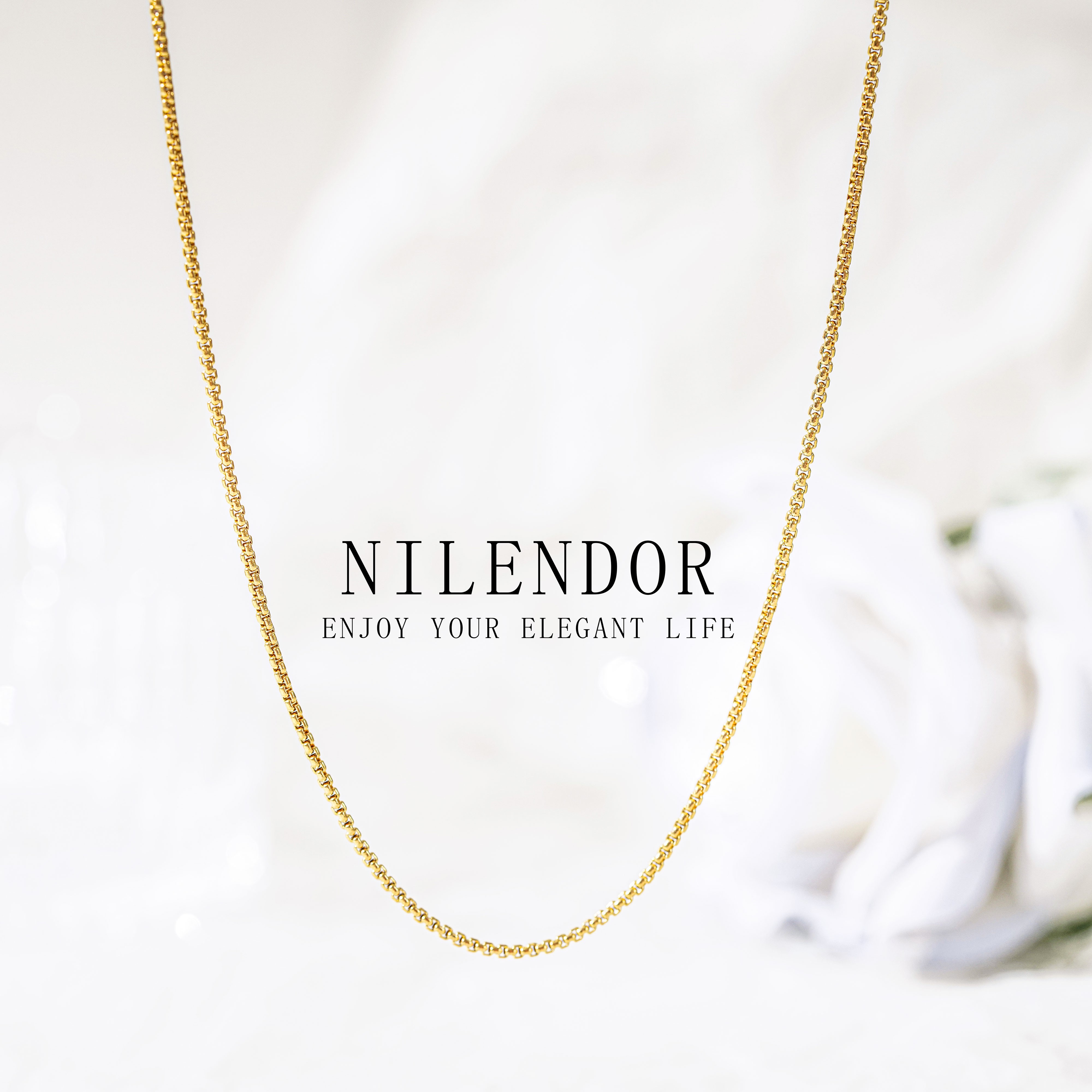 NILENDOR/昵兰 钛钢项链 XL-396简约时尚百搭小众鱼骨极简锁骨链