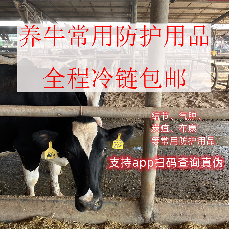 养牛常用的使用防护用品-结节、气肿、炭疽、巴氏、澳等养殖优质产品