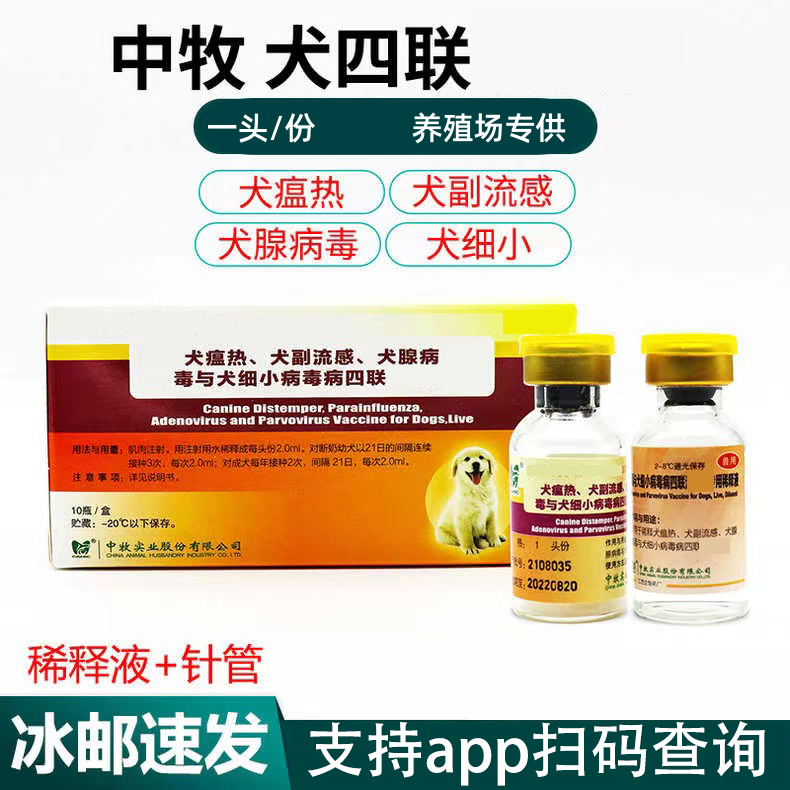 养狗常用的常备用品--英特威辉瑞中牧犬四联+狂犬
