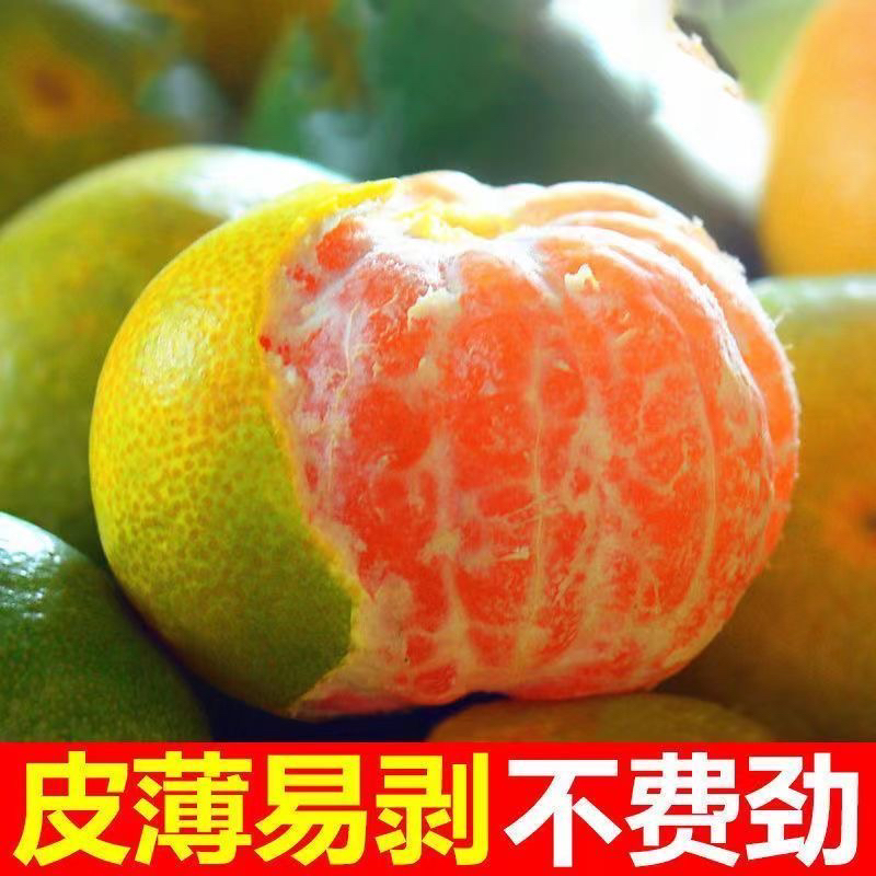 湖北咸宁通城本地桔子五斤一箱