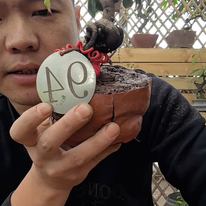 【闪购商品】老*金弹子老鸭是这样的亲