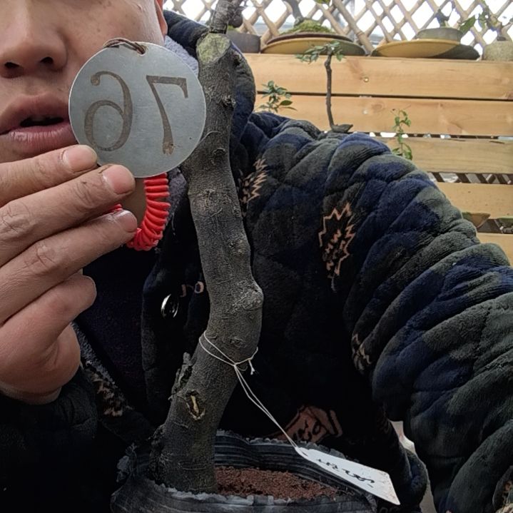 【闪购商品】用****5