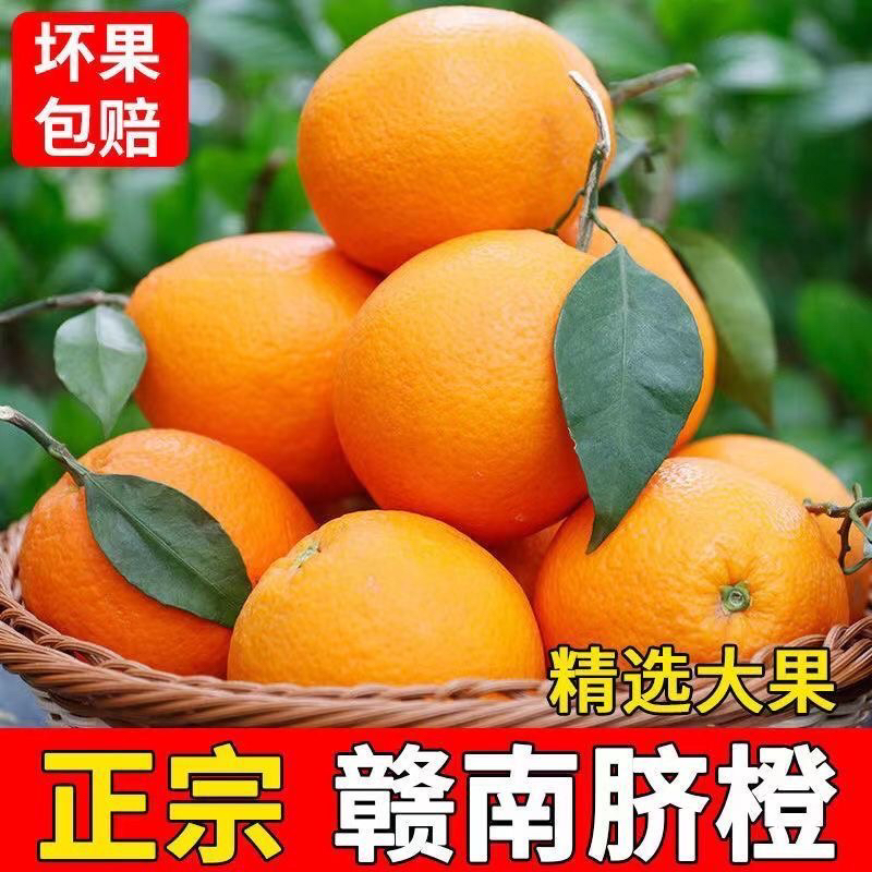 优选鲜甜正宗江西赣南脐橙新鲜橙子10斤皮薄现摘原产地直发包邮