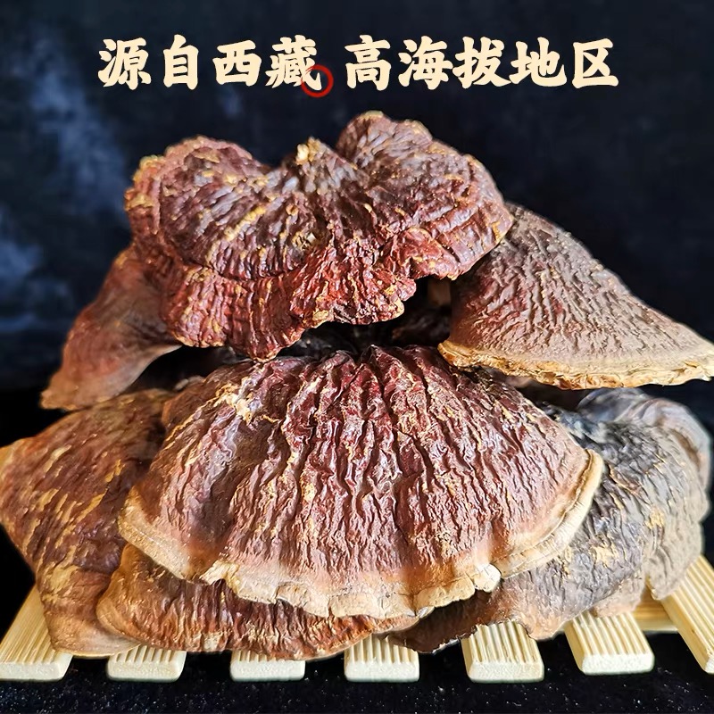 *西藏白肉灵芝 煲汤 煮水 煲汤 泡酒100g/袋。