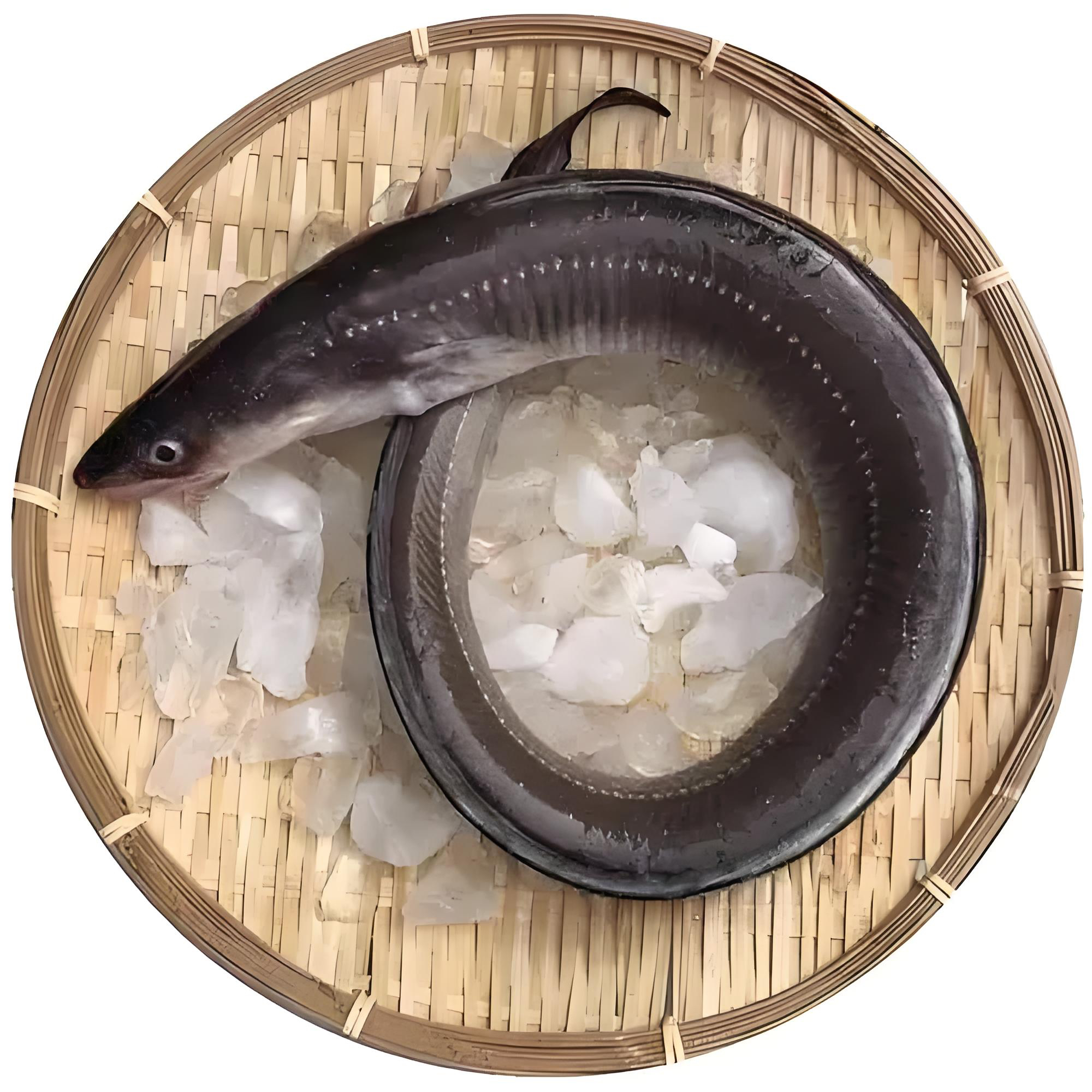 青岛小船鳗鱼七星鳗红烧清蒸5斤
