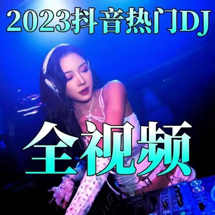 车载dvd高清视频流行dj音乐中文DJ无损音质DVD光盘唱片MV碟片